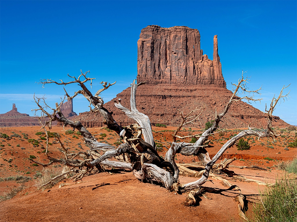 view of the mittens in monument valley photo by joseph-corl